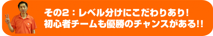 レベル分け